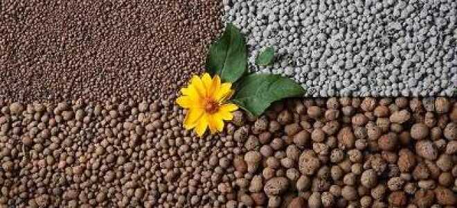 Утепление керамзитом: просто, эффективно и недорого