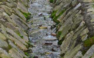 Водоотводная канава: как правильно ее обустроить, последовательность выполнения работ