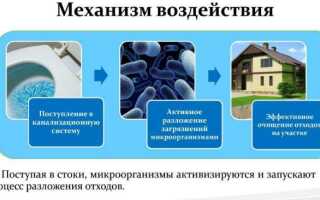 Применение живых бактерий для септиков и выгребных ям, особенности и преимущества эксплуатации септиков
