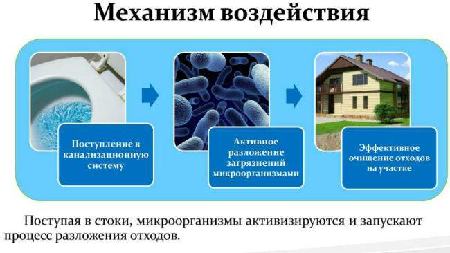 Применение живых бактерий для септиков и выгребных ям Применение живых бактерий для септиков и выгребных ям