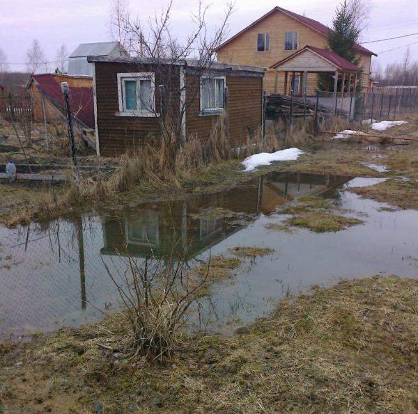 Осушение учаска