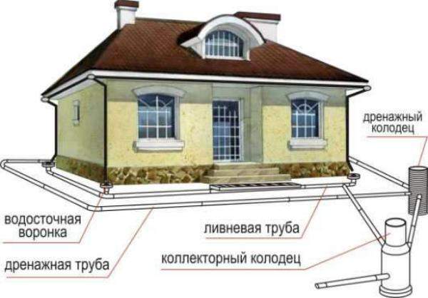 строение дренажной системы строение дренажной системы
