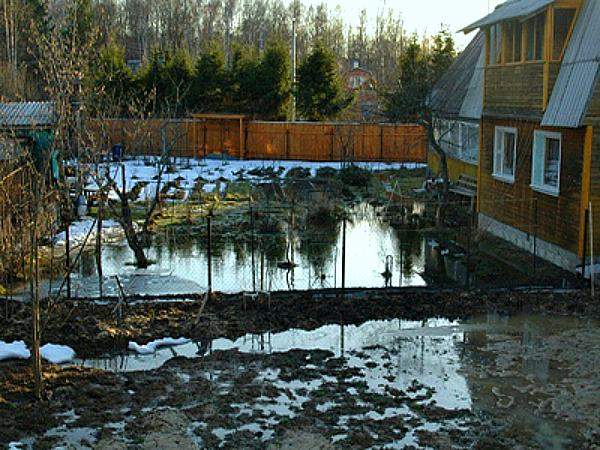 Заболачивание почвы